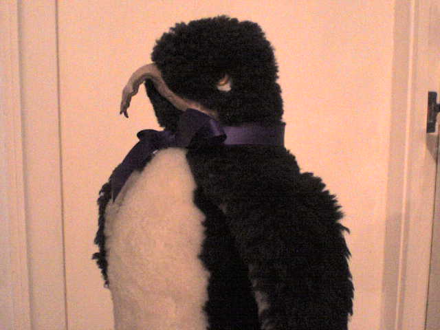 Wilbur